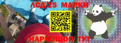 кокс Донской