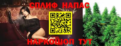 дживик Дубна
