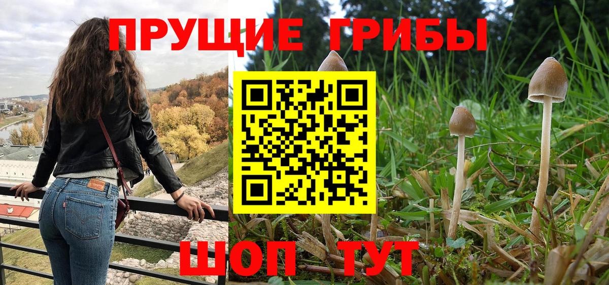 Псилоцибиновые грибы Psilocybe  как найти закладки  Бутурлиновка  Вход с VPN 